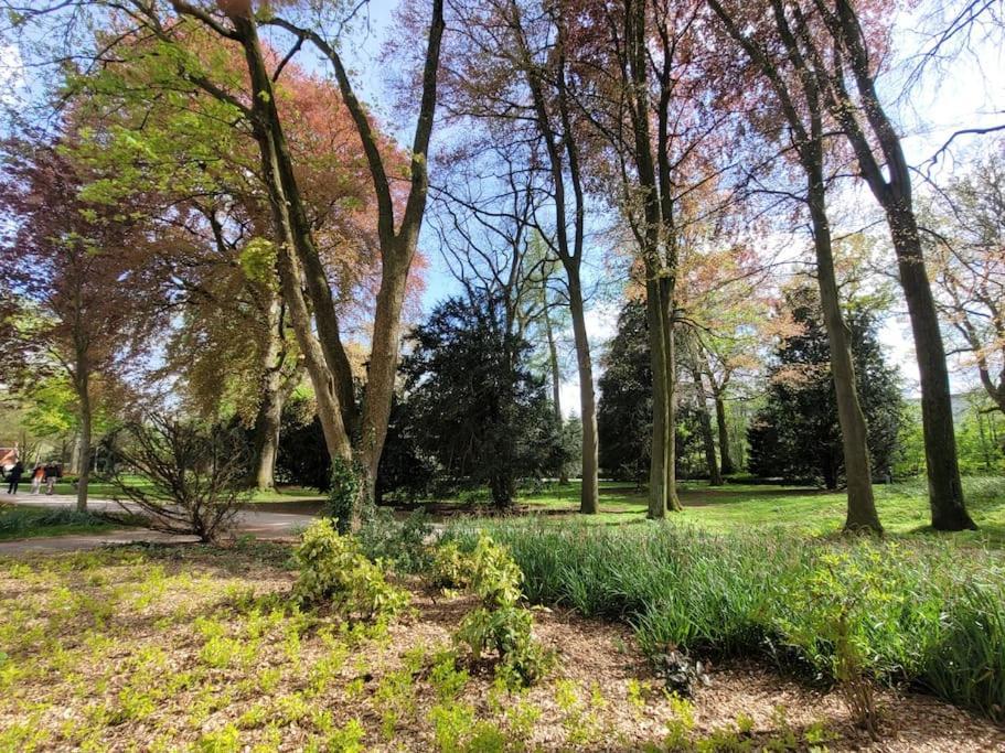 Mit Blick In Den Emsseepark Warendorf Extérieur photo