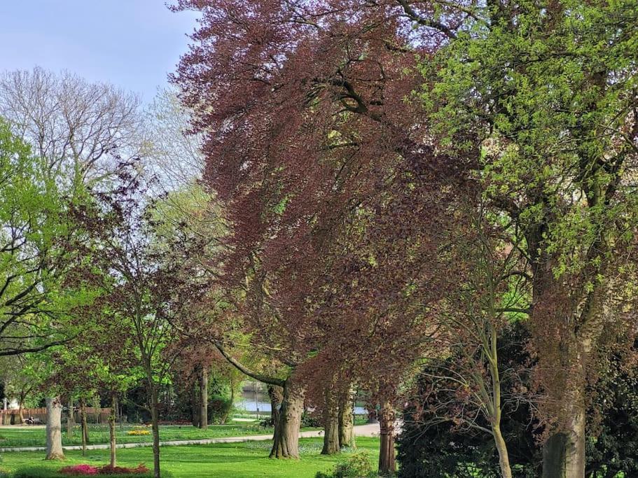Mit Blick In Den Emsseepark Warendorf Extérieur photo